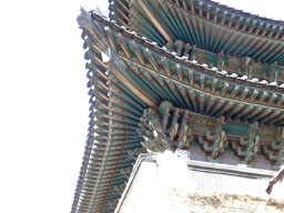 Kwanghwamun roof (2)