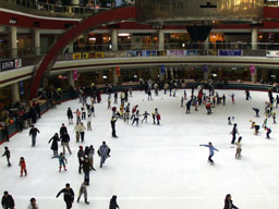 Ice rink, Lotte World 