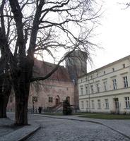 cobblestone street; fortress buildings and tower in background