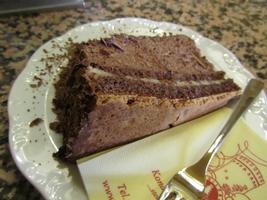 Plate with chocolate cream cake and fork