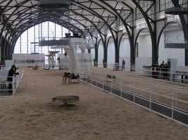 Long view of SOMA installation, showing elevated bed area and reindeer living space