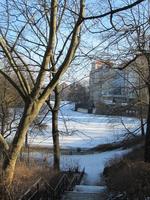 Trees in foreground; river and apartment buildings in background