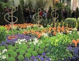 Orange, violet, and white flowers surrounding three topiary treble clefs