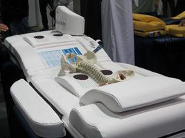 Couch-like apparatus that uses oscillation to adjust your spine