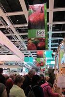 hanging banner for “BioMarkt” (Organic market)