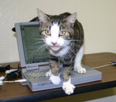 ready to depart the keyboard