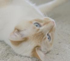 Rolling over
