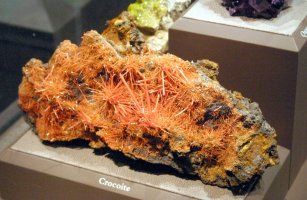 Spiky orange crocoite