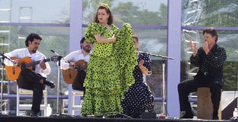 Flamenco dancer & group