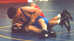 [Regional 98-14]