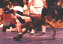 [Regional 98-32]
