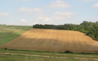 flat farm area