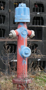 red fire hydrant with blue top