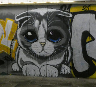 graffiti cat with huge eyes and folded over ears