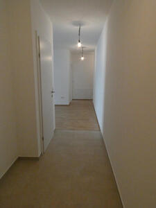view into apartment from entrance door