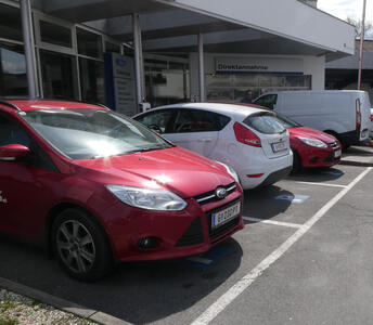 Red and white Ford cars
