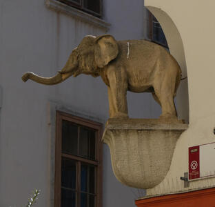 sculpture of elephant on building