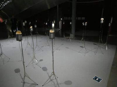 Aluminum cans on tripods