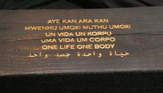 one life one body