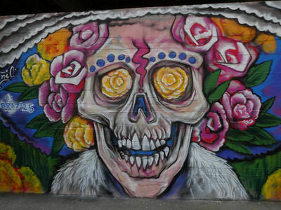 skull with roses for eyes