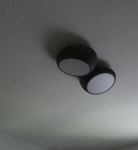 dual ceiling light