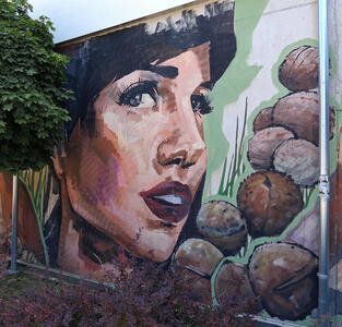 mural womans face