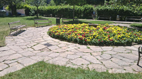 circular flower bed