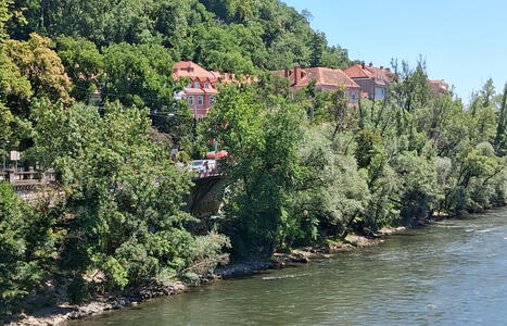 Greenery at Kaiser Franz Joseph Kai
