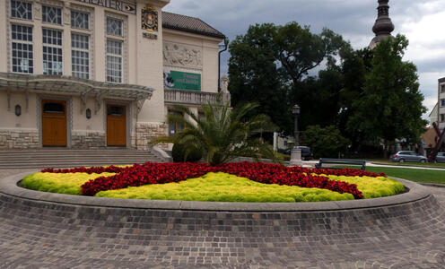 Circular planter with yellow flowers; a red star of flowers is in the circle.