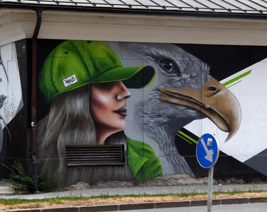 Head and shoulders of a woman in green baseball cap; a large eagle is depicted behind her