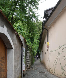 Narrow cobblestone street with trees in background