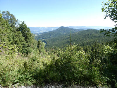 Trees and shrubbery in foreground, mountains in background.
