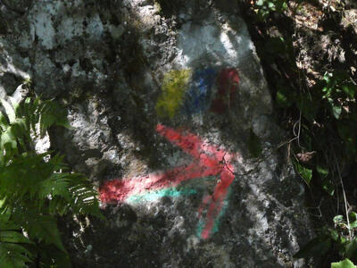 Trail marker painted onto tree