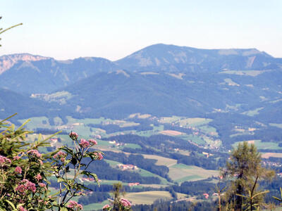 Flowers in foreground, valley with small houses in midground, mountains in background