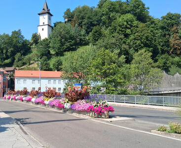 Median strip planted with flowers in foreground; clock tower in background