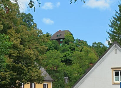 House at top of hill in background, partially hidden by trees
