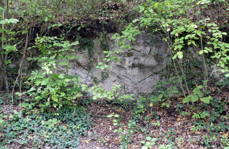 Concave rock formation