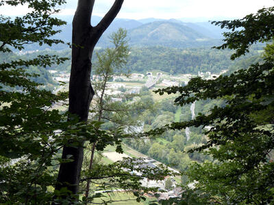 View of Graz; trees in foreground.