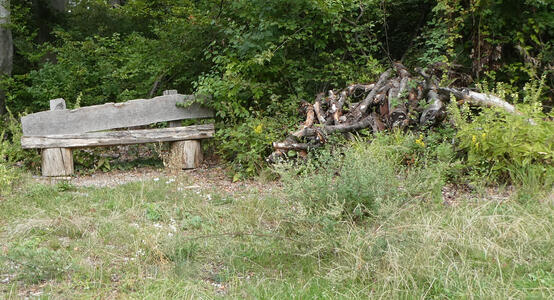 Dilapidated wooden bench near a stack of wood.