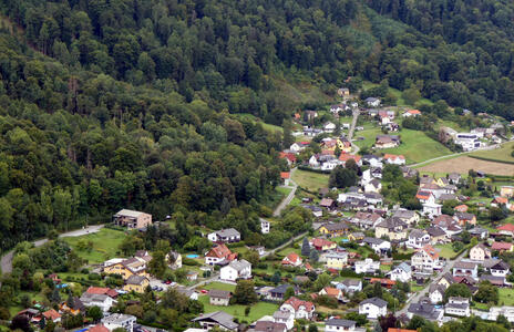Forest at left and in background; houses at right and in foreground