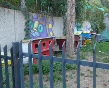 Wooden houses for feral cats. Houses are painted in red, blue, yellow, and other colors.
