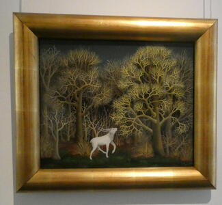 white goat in forest