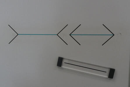 Two lines, one with arrowheads facing inwards and one with arrowheads facing outwards. They appear to be different lengths, but they are the same length.