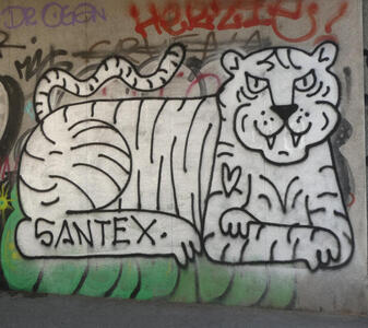Black and white grafitti of a  tiger lying down, head facing viewer. Artist’s name SANTEX is on one leg of the tiger.