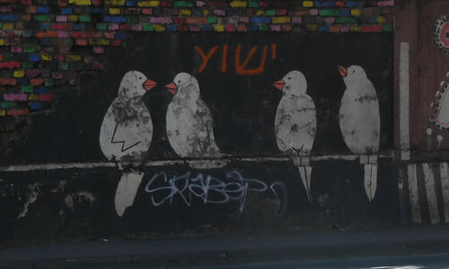 Four white birds sitting on a pole. Above them, the word “Yeshua” in Hebrew print