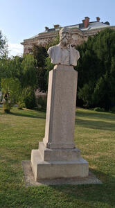 Bust of bearded man wearing a bow tie