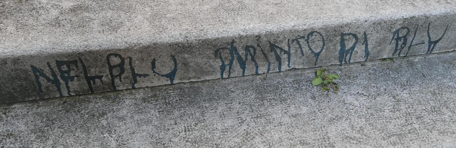 Painted on stair step riser: NEL BLU DI PINTO DI BLU; paint has run downwards on most of the letters