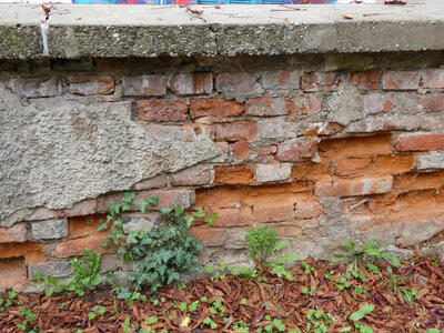 Brick wall with several bricks missing; part of wall at left is covered in stucco.