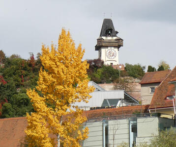 Uhrturm in background; tree with bright yellow leaves in foreground