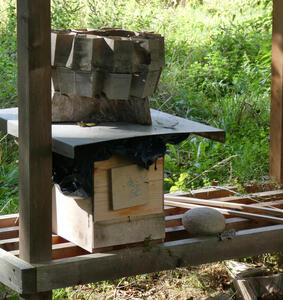 Beehive with large block of wood on cover